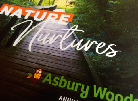 Asbury Woods Annual Report